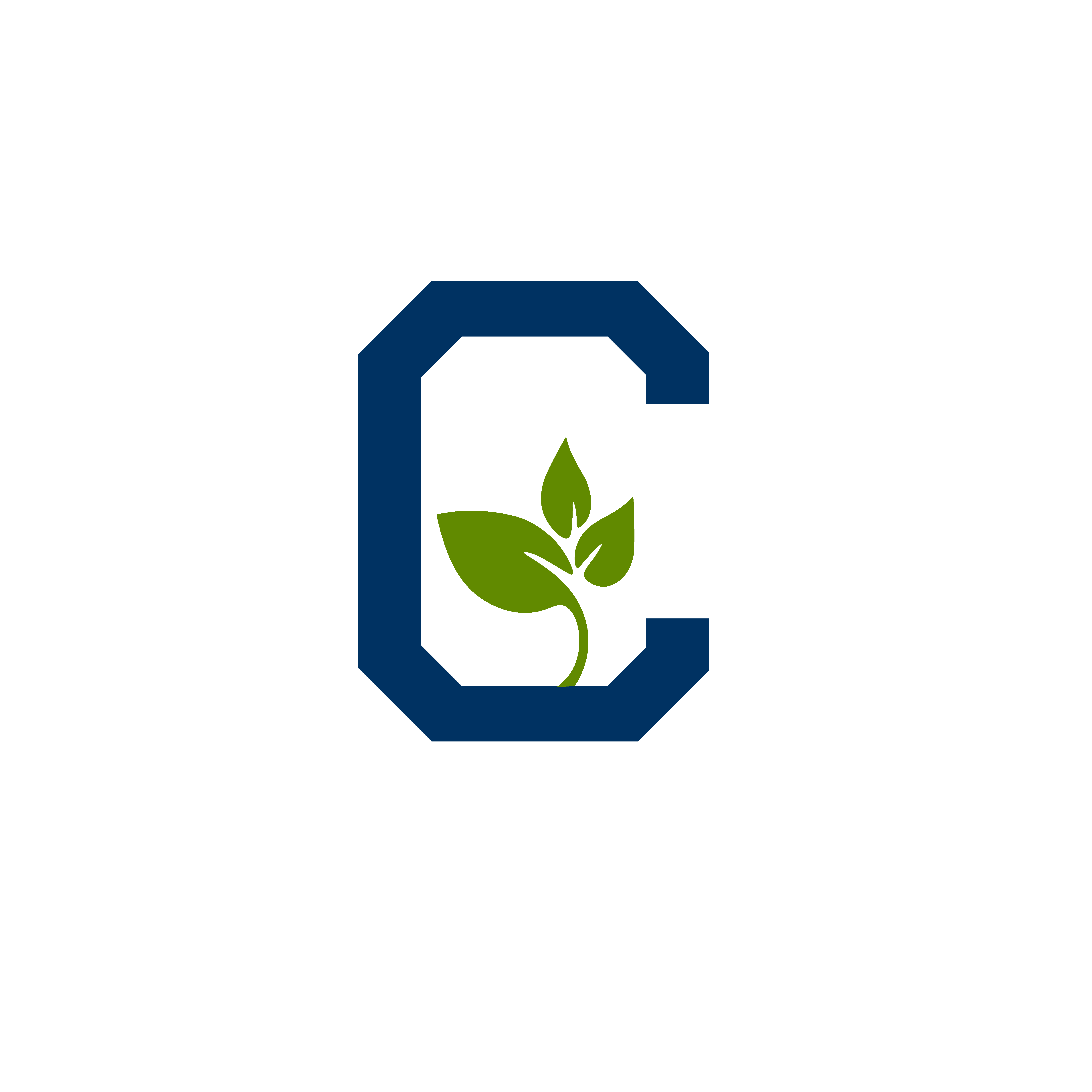 Logo_C-Kevin-Chang