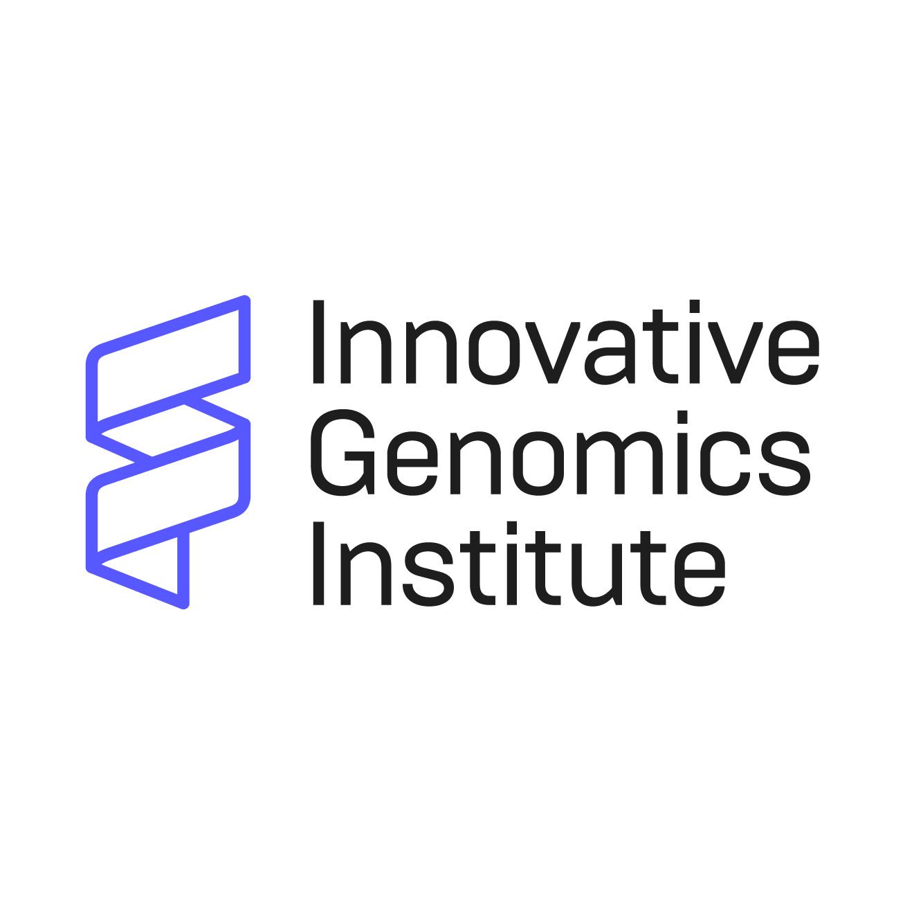 IGI-Logo-Institute@2x-1